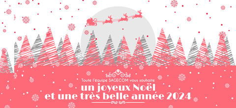 Joyeux Noël et meilleurs Voeux 2024